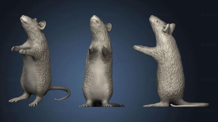 Статуэтки животных Крыса 2
